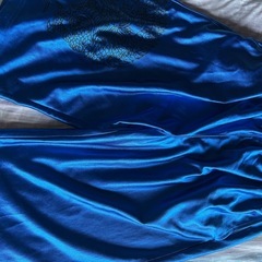 DRAGON GALFY セットアップ ブルー系 犬柄の画像