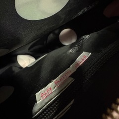 リトルサニーバイト　ショルダーバック　カーミットの画像