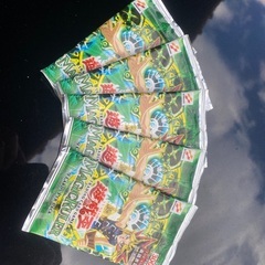 遊戯王　マジックルーラーの画像