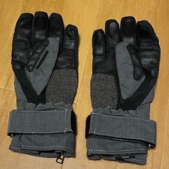 パワーエイジ レイングローブの画像