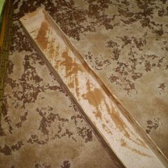 白檀扇子？の画像