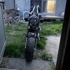 中華ダックスの画像