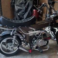 中華ダックスの画像