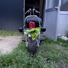 中華ダックスの画像