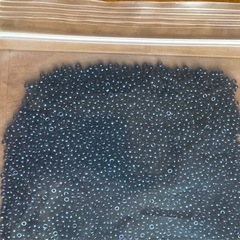 【新品 未使用】ビーズ 3mmの画像