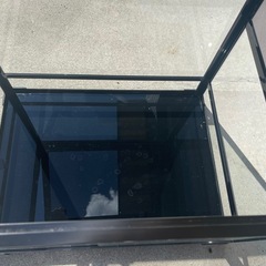 パンテオン6045 爬虫類の画像