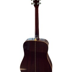 Morris W-18 アコースティックギターの画像