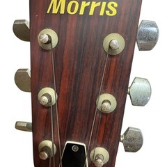 Morris W-18 アコースティックギターの画像