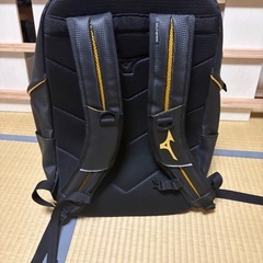 野球用
リュックの画像