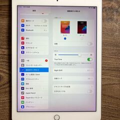 ★早いもの勝ち★動作確認済み★ Apple iPadPro9.7 第1世代 32GB Wi-Fi シルバーの画像