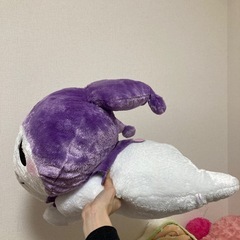 寝そべりクロミの画像