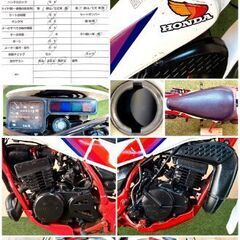 【動画あり】★ホンダ TLM50★ 実動 旧車 希少 原付 AD07型 キャブレター 空冷 2サイクル トライアル オフロード 松本市の画像