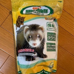 フェレット グロースの画像