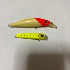 ルアー、断捨離の画像