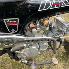 DAX  ホンダダックスの画像