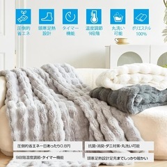 電気毛布 シングルの画像