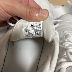NIKE エアマックス　DN8
の画像