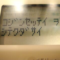 TANITA カロリースケール TCK-003 タニタ カロリー測定　未使用の画像