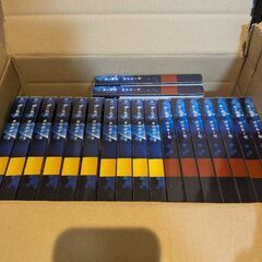 青の洞窟パスタソース19袋の画像