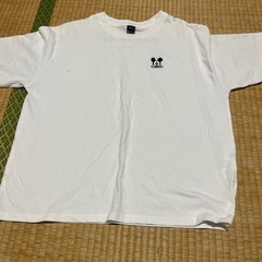 ⓪レディース　衣類　長袖　半袖の画像