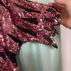 レットスパンコールカットソーの画像