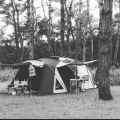 Coleman 最上級テント の画像