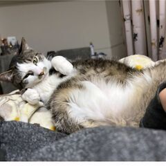 譲り渡したいです