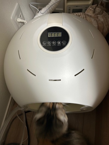 ペットドライヤー　美品　最終値下げ