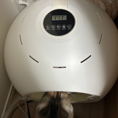 ペットドライヤー　美品の画像