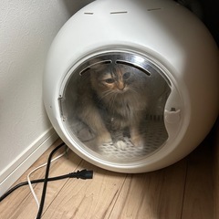 ペットドライヤー　美品の画像