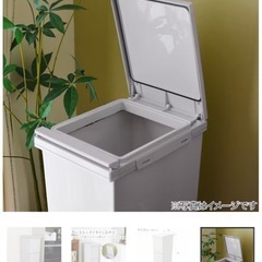 【美品】ニトリ ゴミ箱 2段ペダル式 豊洲引き取り限定！の画像