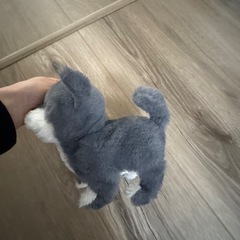 スリコ 動くぬいぐるみの画像