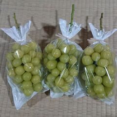 シャインマスカットの画像