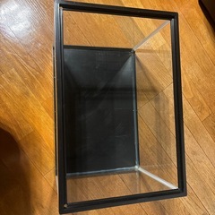 水槽の画像