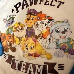 パウパトロール 100 パジャマ    の画像