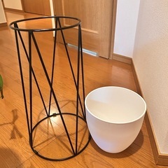 スタンド付き　　元気なモンステラの画像