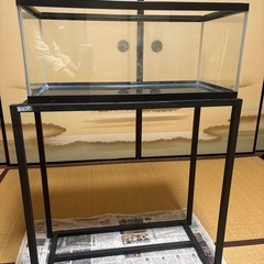 水槽の画像