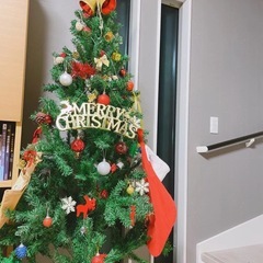 クリスマスツリー、高さ180センチくらいの画像
