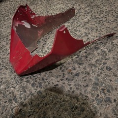 アンダーカウルの画像