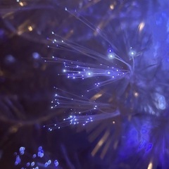 クリスマスツリー 210cm 光
ファイバーの画像