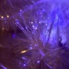 クリスマスツリー 210cm 光
ファイバーの画像