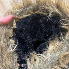 BEE BOX✨カラフルペイントスプラッター✨アウター✨ジャンプスーツ✨の画像