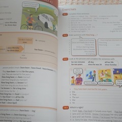 英語の文法の画像