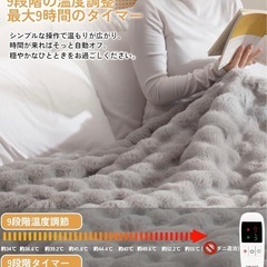 電気毛布 掛け敷き兼用 190×130cm 表兎毛調×裏フランネル リバーシブル／9段階温度・9段階タイマー／洗濯機で丸洗いOK の画像