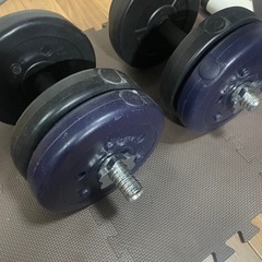 IROTECマルチパーパスフォールディングベンチ（ダンベル付）の画像