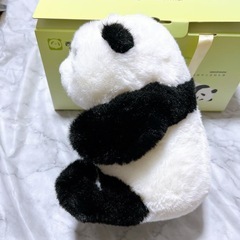 パンダのぬいぐるみの画像