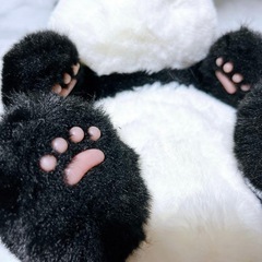 パンダのぬいぐるみの画像