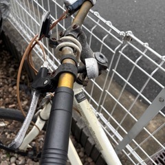 ドッペルギャンガー　インテルラゴス550　ミニベロの画像