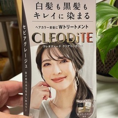 決まりました新品未開封　黒髪　白髪染めグレージュの画像