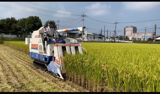 新米　彩のきずな　玄米30キロ　令和7年産　熊谷市　a